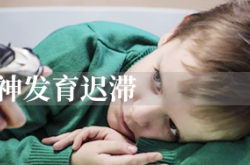 哪里有收留智障儿童的学校？