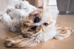 焦虑、抑郁、失眠……春节临近，你中招“年末综合征”了吗？